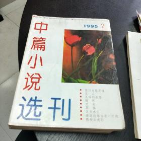 中篇小说选刊    1995年1-6期合售    包快递费