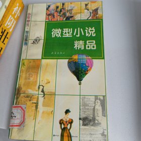 微型小说精品