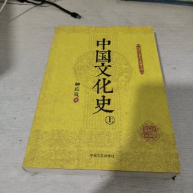 中国文化史（上册）（民国名家史学典藏文库）