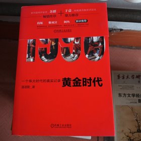 1996黄金时代：一个伟大时代的真实记录