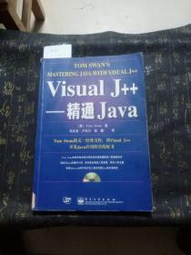 Visual J++:精通Java