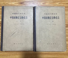 中国各门类化石：中国的腕足动物化石（上下册）精装本