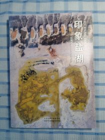 印象盐湖：运城池盐文化艺术作品集