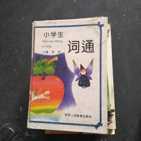 小学生词通