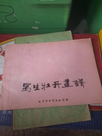 写生牡丹画谱