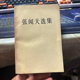 张闻天选集