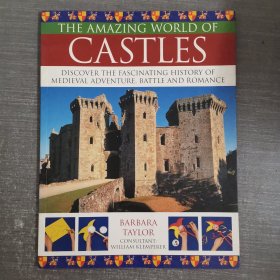 THE AMAZING WORLD OF CASTLES