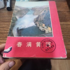 春满黄河