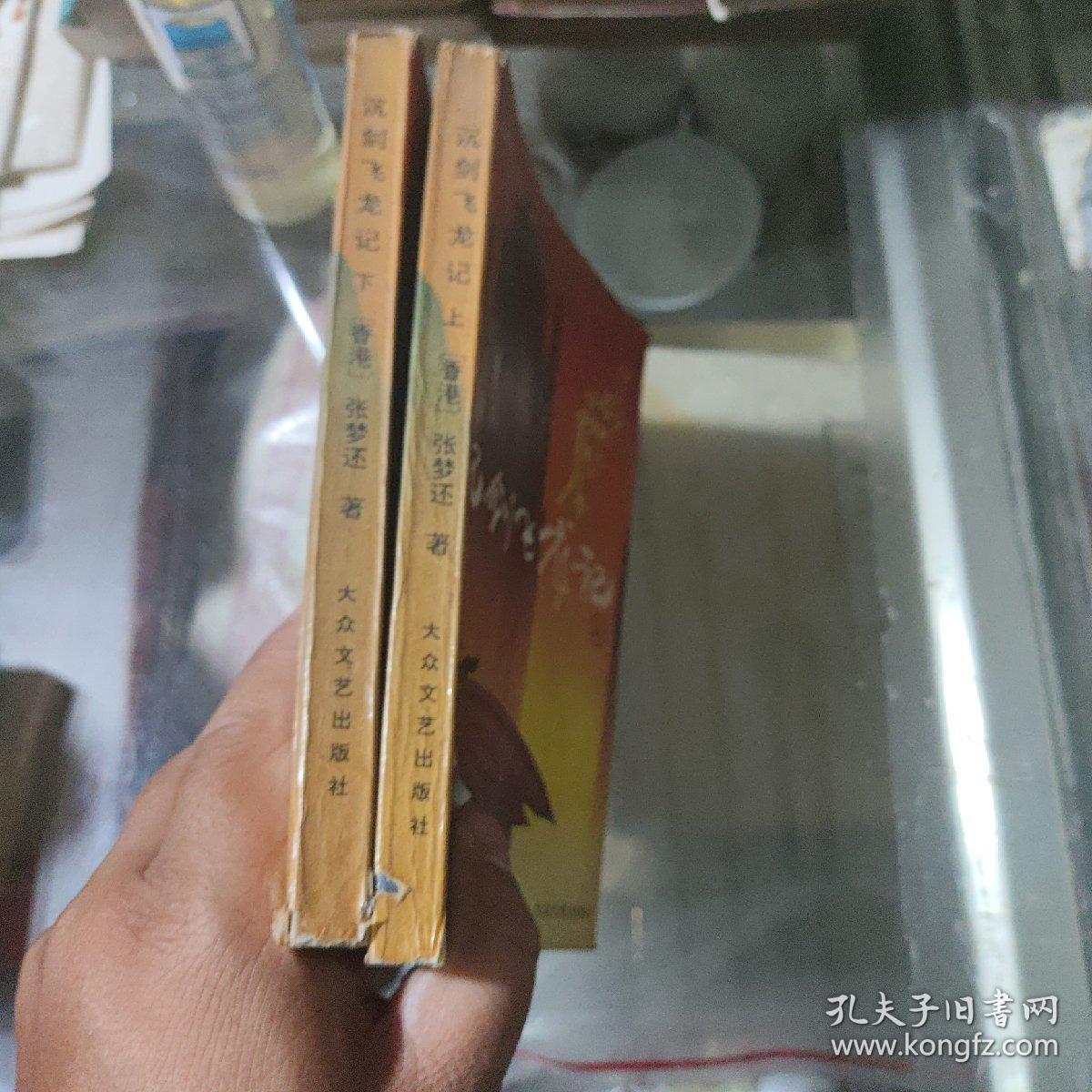 沉剑飞龙记  上下册