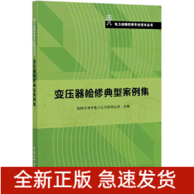 变压器检修典型案例集/电力运维检修专业技术丛书