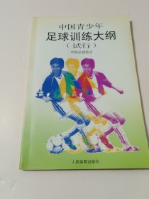 中国青少年足球训练大纲（试行）