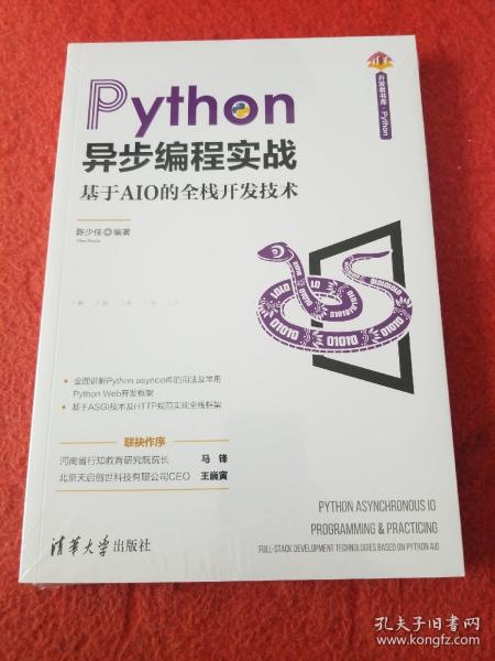 Python异步编程实战——基于AIO的全栈开发技术