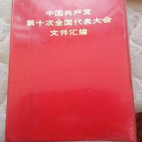 中国共产党 第十次全国代表大会 文件汇编2022 624