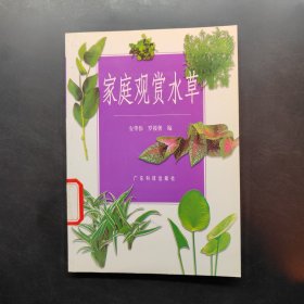 家庭观赏水草