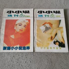 小小说选刊增刊（1997+1998）