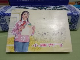 小雁齐飞 连环画【精装】