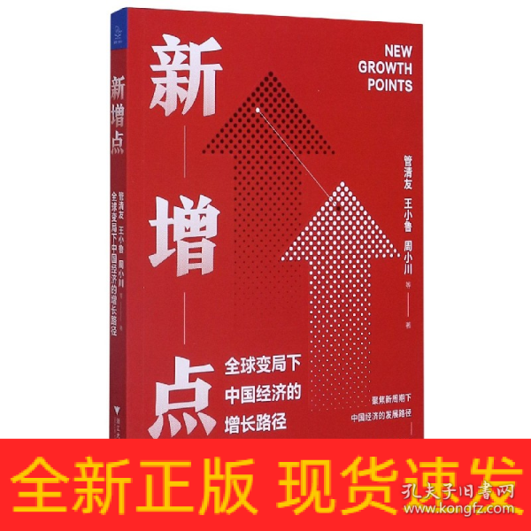 新增点：全球变局下中国经济的增长路径