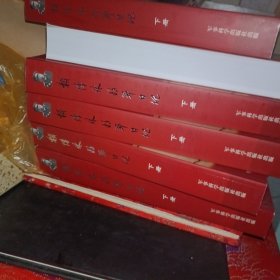 赖传珠将军日记,下册,缺上册