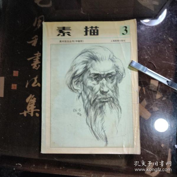 少年儿童美术技法丛书  素描第三册