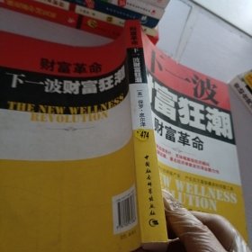 财富革命:下一波财富狂潮