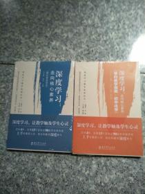 深度学习教学改进丛书 深度学习：走向核心素养（理论普及读本）+深度学:走向核心素养(学科教学指南·初中化学) 教学方法及理论（2本合） 原版全新