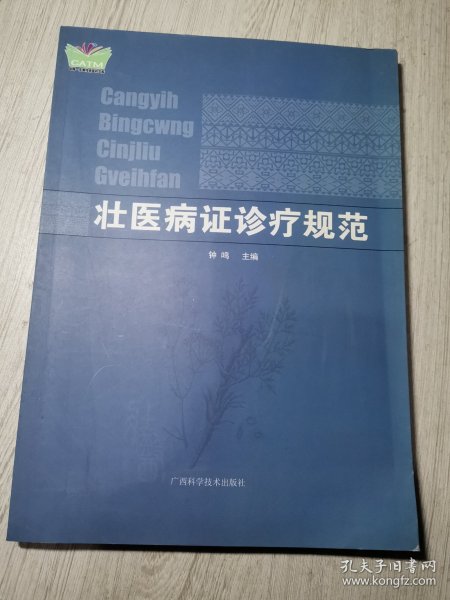 壮医病证诊疗规范/中国东盟传统医药文库