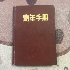 青年手册 50年代老旧日记本笔记本 有主席及朱德像 插图精美 有1页字迹 1952年青年出版社出版 9-1