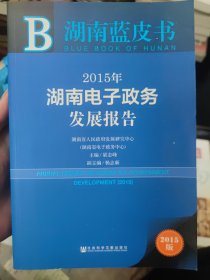 湖南蓝皮书：2015年湖南电子政务发展报告