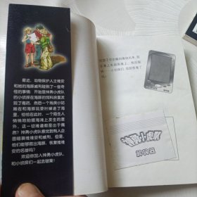 神勇小虎队:第十集足球案、第十二集斩断魔爪（无解码器）