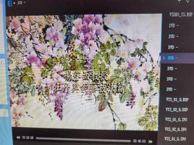 张大千弟子 著名女国画家杨鄂西教学（原版）视频光盘DVD（亲笔签名）牡丹与紫藤（一）