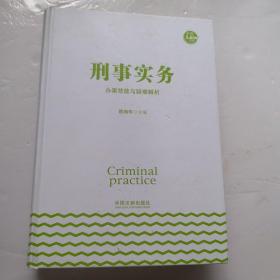 刑事实务办案技能与疑难解析