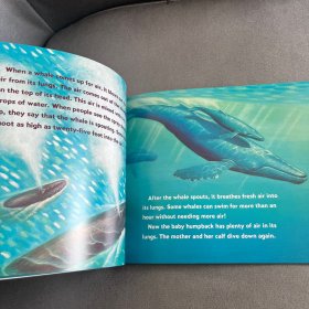 Baby Whales Drink Milk (Let's Read and Find Out) 自然科学启蒙1：喝乳汁的幼鲸