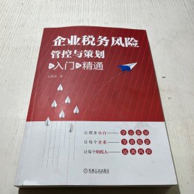 企业税务风险管控与策划：从入门到精通