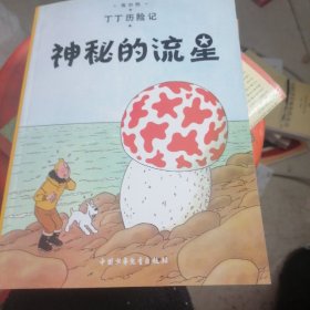 丁丁历险记·神秘的流星