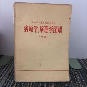 病原学病理学图谱