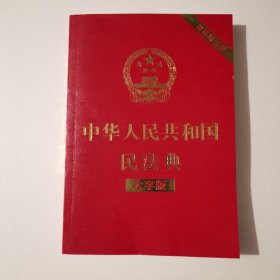 中华人民共和国民法典（大字版32开大字条旨红皮烫金）2020年6月新版