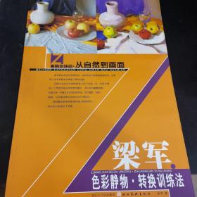 美院加油站·从自然到画面：梁军色彩静物转换训练法