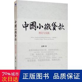 中国小微贷款(理论与实践) 社科其他 温灏|责编:刘宏