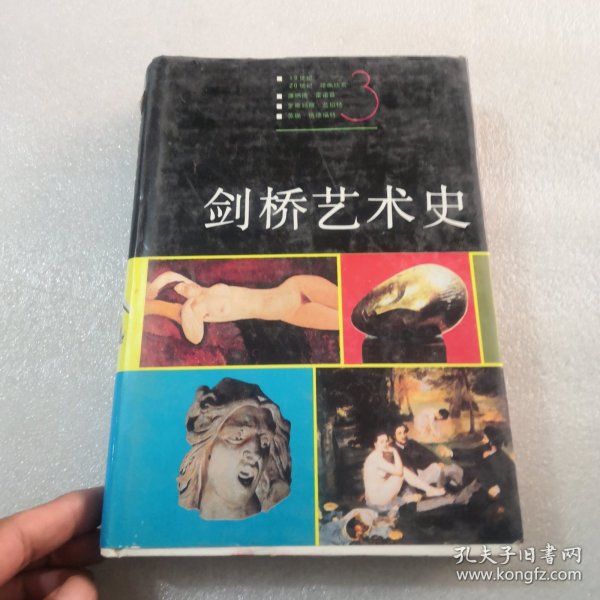 剑桥艺术史三精装，实拍图为准共493页