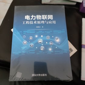 电力物联网工程技术原理与应用