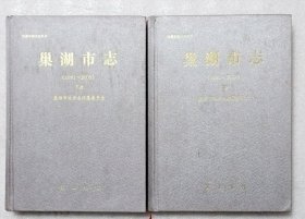 巢湖市志（1991~2005）上下 册