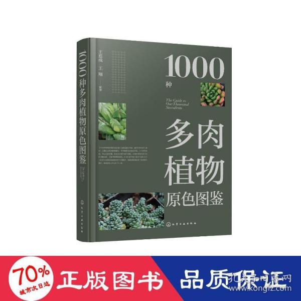 1000种多肉植物原色图鉴