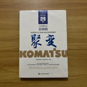 聚变·安崎晓谈跨国企业发展与混合型经营模式