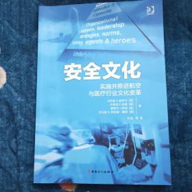 安全文化：实施并推进航空与医疗行业文化变革