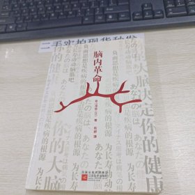 脑内革命