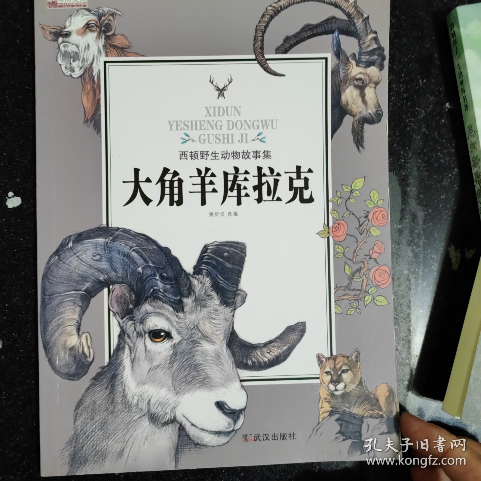 西顿动物故事 ，单本，大角羊库拉克