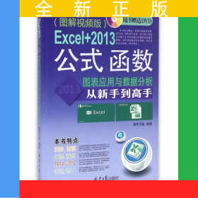 Excel+2013公式函数图表应用与数据分析从新手到高手(附光盘图解视频版)