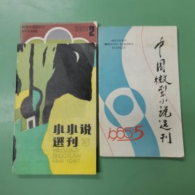 小小说选刊