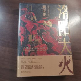 洛阳大火：公元23-220年的后汉史 一部视野宏大的后汉通史 沉浸式体验后汉都城洛阳的兴衰历程