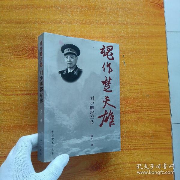 魂作楚天雄：刘少卿将军传